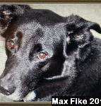 Max Fike 2015